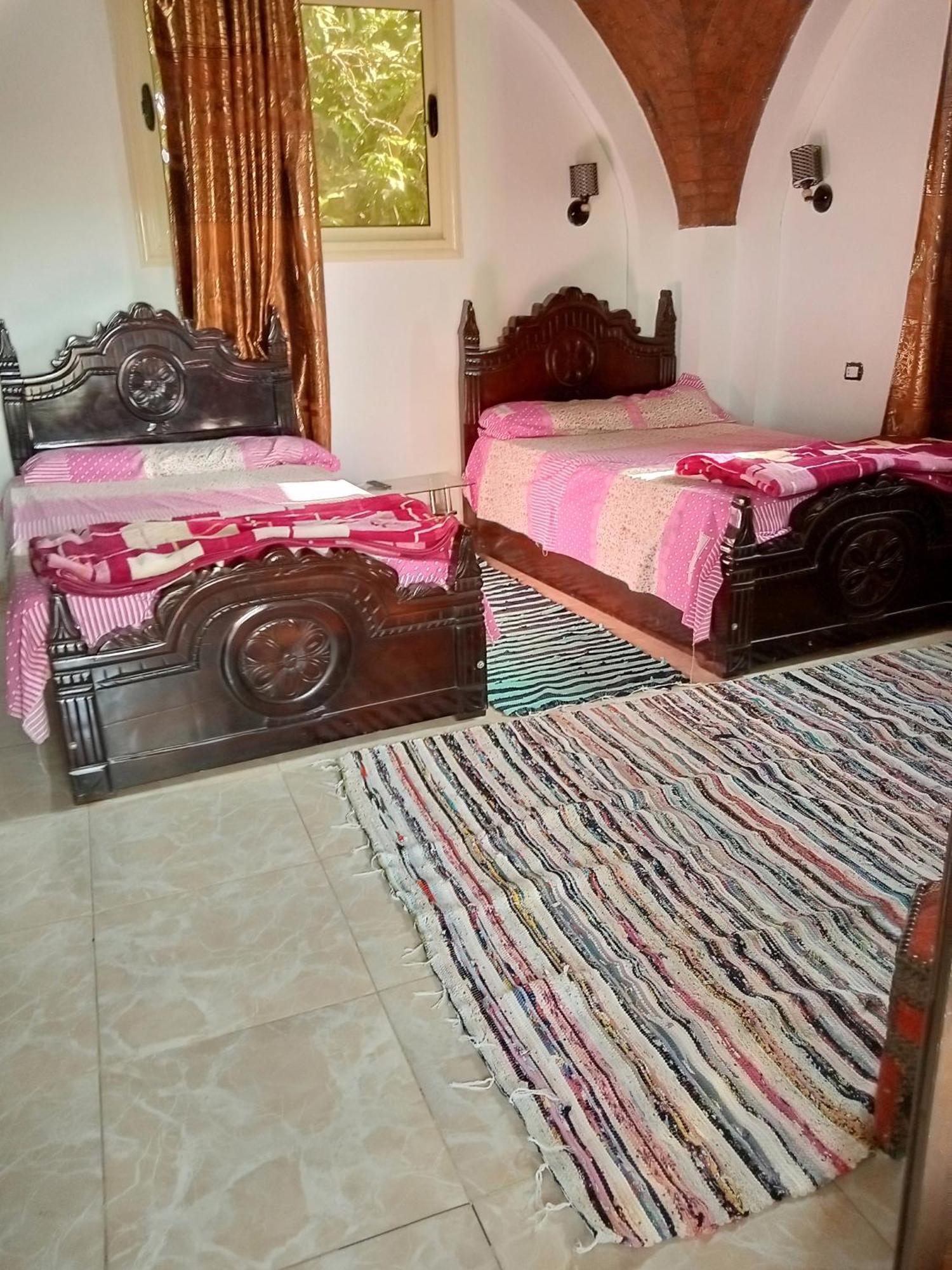 אסואן El Prince Guesthouse מראה חיצוני תמונה