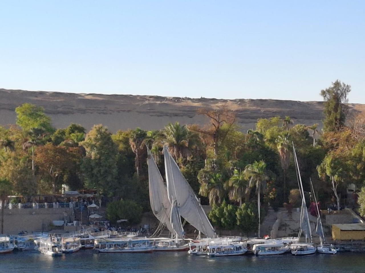 אסואן El Prince Guesthouse מראה חיצוני תמונה